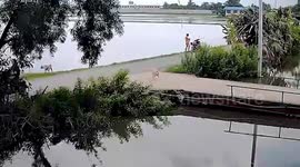 Youngsters riding motorcycle lose control and crash into pond