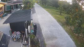 Territorial stray dog takes out motorcycle riding in front of its home