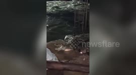 Crocodile captured after it fell out of canal due to heavy rainfall in southern India