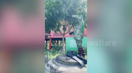 Brave pest exterminator tackles swarms of ferocious hornets for a living
