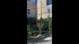 Man Chases After Alleged Package Thief