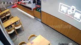 Wild deer walks into cafe startling staff in China