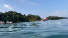 Discovery of rare jellyfish in S China's Guangdong Province