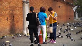 Tourist city Chiang Mai prepares for influx of Chinese visitors following visa-free travel measures
