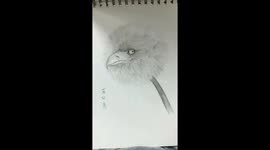 Chinese kid makes funny drawings of mashed-up subjects by mixing up words' meanings