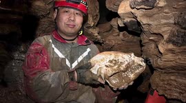 Giant panda remains discovered in Asia's longest cave