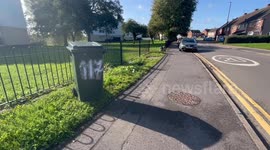 Bully type dog tasered and put in wheelie bin by police after attacking two people in the street