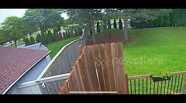 Distracted Driver Barrels Through Backyards