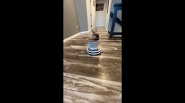 Officer Chippy On Cleaning Duty