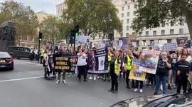 Dog owners march in protest against the American Bully XL ban