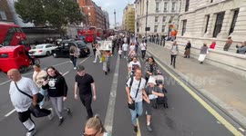 XL Bully Owners March To Downing Street