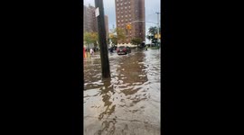 Woman in banana costume dances as ankle-deep floodwater submerges NYC