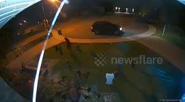 Bad Neighbour Takes Halloween Decorations