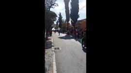 Dogs Participate In Chaotic Downhill Race