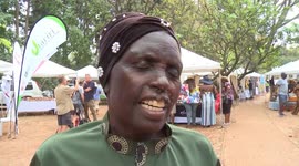 Zimbabwean farmers opt for traditional crops to mitigate climate impacts