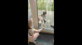 Girl can't stop giggling while innocently teasing ducks with a slice of bread