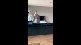 Silly dog's back-jumping surprise HILARIOUSLY backfires when he flies face-first into couch