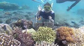 The underwater beauty of Banyuwangi Beach