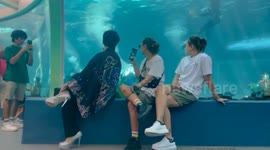 Cheeky toddler hilariously photobombs group video selfie at aquarium