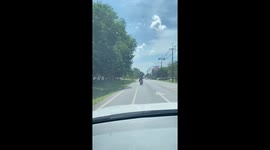 Mum rides scooter with toddler strapped to her chest and pet dog by her feet