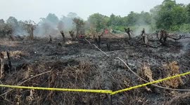 Peatland Fires Cause Smoke Haze