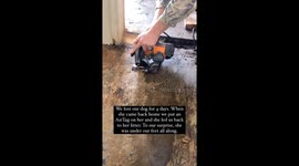 Child rescues their dog only to find a litter of puppies!