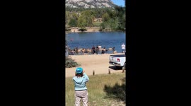 People Get Too Close to Elk at Estes Park