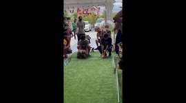 Tortoise beats hare in sprint race just like the Aesop fable... but with an unexpected start