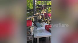 Restaurant uses conveyor belt to serve food to customers