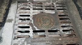Bedraggled kitten stuck in drain rescued in Thailand