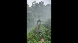 Driving wind and rain batters hikers on mountain in Laos