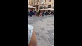 Police with dogs multiple arrests in Budapest Hungary