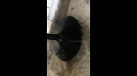 Heavy rain and storm in central Bangkok, 25th September 2023. Cars risk the floodwaters to get where they need to be.