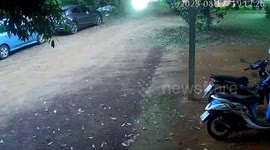 Terrified men run for life while being chased by angry pet dogs