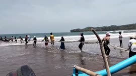 Good times for Indonesian fishermen as they rake in tonnes of snapper at a time