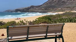Aloha Friday | hawaii vacation vibes | surfer walking towards ocean in hawaii | bench with amazing view on Oahu in hawaii