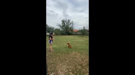 Frisbee Toss Goes The Wrong Way
