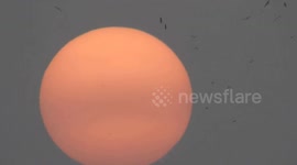 US: Air Quality Alert Issued As Canadian Wildfires Cause Hazy Skies In Florida
