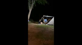 Hungry black bear raids campsite looking for midnight snack