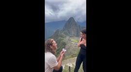Man proposes to his life's love with a Llama in the backdrop *Wholesome Video*