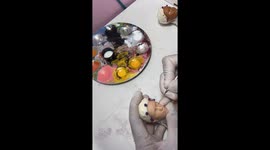 Doll enthusiast repaints Barbie into The Little Mermaid's Vanessa