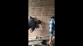Snake Startles Animal Rescuer