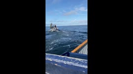 Boaters Pass by a Polar Bear