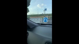 Chicken Crosses Road, Gets to Other Side