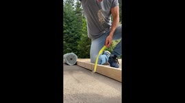Baby Raccoons Lend a Helping Hand