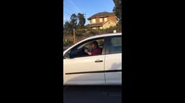 Road Rage Screaming