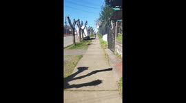 Girl Biffs It on Scooter
