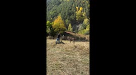 Deer Nearly Gores Man