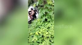 Driver and passengers rescued from crashed pickup truck