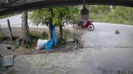 Pooch parking: Pet dog helpfully pushes motorcycle sidecar onto family's driveway